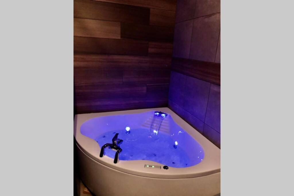 Studio Cocooning Spa, Lit Xxl, Cour Exterieure Le Puy-en-Velay ภายนอก รูปภาพ